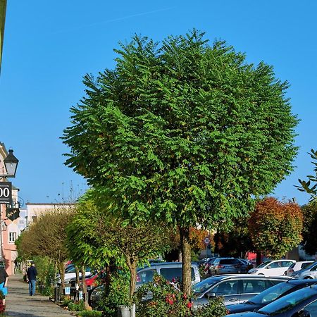Ferienwohnung Tittmoning Zwischen Salzburg, Burghausen Und Oesterreich 외부 사진