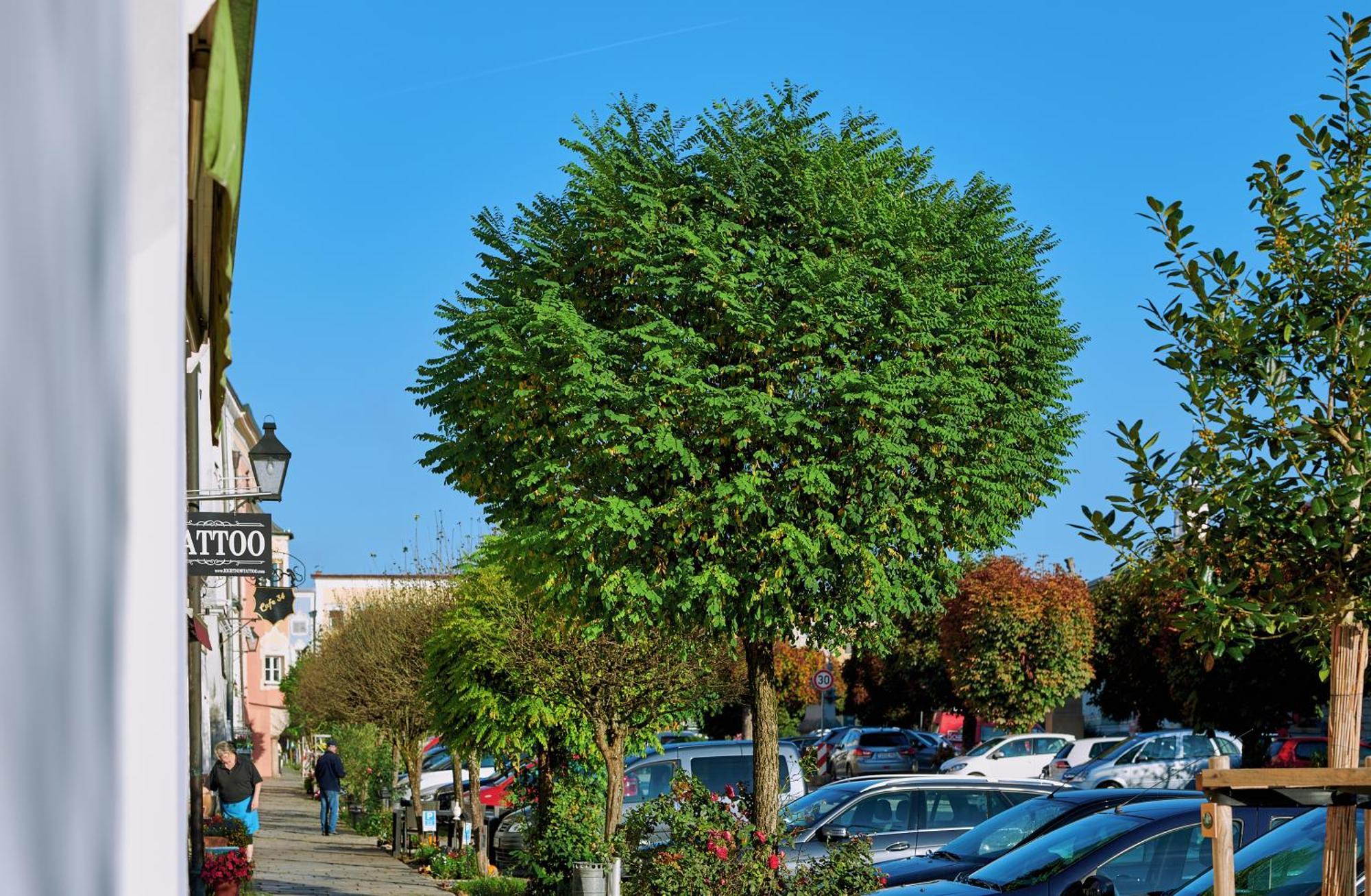 Ferienwohnung Tittmoning Zwischen Salzburg, Burghausen Und Oesterreich 외부 사진